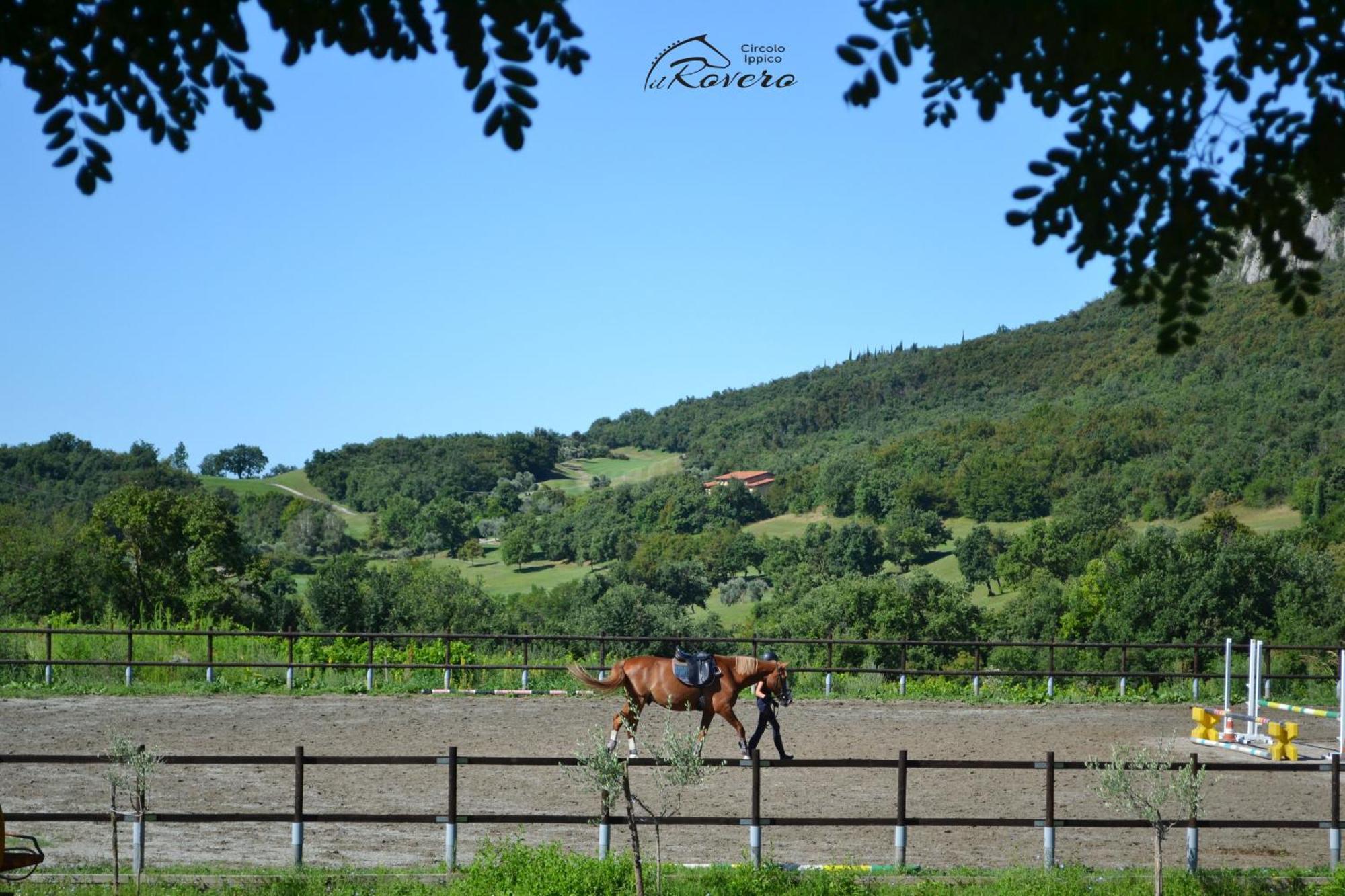 Il Rovero Castion Veronese Exterior photo